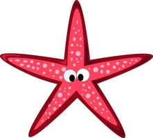 Starfish, illustration, vector on white background.