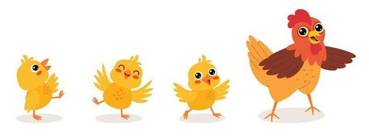 Cartoon Illustration Of Chicken And Chicks vector