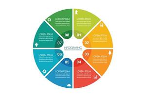 Circle infographic eight steps template vector