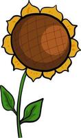 Big yellow sunflower, illustration, vector on a white background.