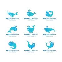 Set Of Whale Element Logos vector