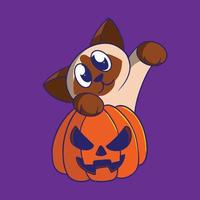 cartoon cat pumkin vector