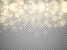 Golden bokeh lights with glowing particles isolated. vector