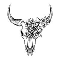 Bull skull with floral ornament vector