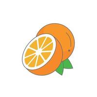 icono naranja. naranja. naranja en una sección sobre un fondo blanco vector