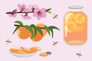 Blooming peach and fruit, jam and compote vector