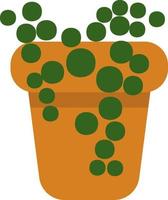 String of pearls plant in a pot, icon illustration, vector on white background