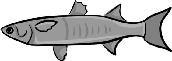 Mullet fish, illustration, vector on white background.