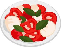 ensalada caprese, ilustración, vector sobre fondo blanco