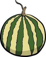 Big watermelon , illustration, vector on white background