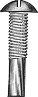 Carriage Bolt, vintage illustration. vector