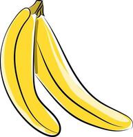 Bananas, illustration, vector on white background.