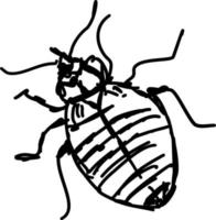 Bug sketch, illustration, vector on white background.