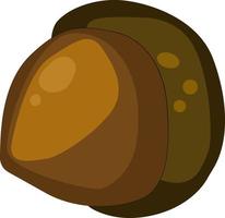 Hazelnut, illustration, vector on white background.