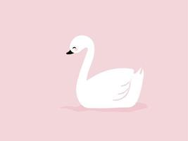 Cisne blanco, ilustración, vector sobre fondo blanco.