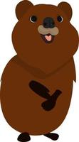 Brown quokka, illustration, vector on white background