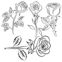 colección de ilustraciones de imágenes de dibujo lineal de rosas dibujadas a mano vector