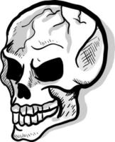 Skull drawing, illustration, vector on white background.