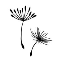 Vector illustration dandelion seed blown in the wind. Dandelion seed icon. Dandelion on a white background. Vector illustration