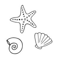 Hand drawn seashells and sea ride in doodle style. Set on a white background. Vector illustration. Seashells can be used on postcards, stickers, posters.