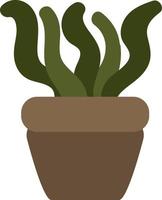 Spiral aloe in pot, illustration, on a white background. vector