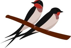 Swallows on a branch, illustration, vector on white background