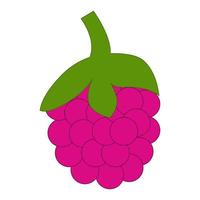 Raspberry . Cartoon flat style. Raspberry vector illustration. Isolated berry on white background.   Doodle of colorful raspberries on a white background. Sweet food.