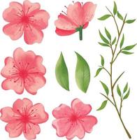 Set of Watercolor sakura flower, Pink flora clipart vector