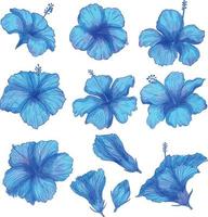 Set of Watercolor flower, Blue flora clipart vector