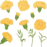 Set of Watercolor carnation flower, Yellow flora clipart vector