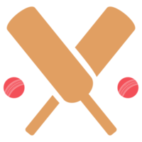 cricket bat icoon png