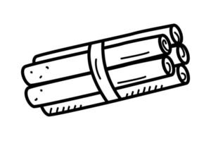 Cinnamon sticks set, vector illustration, doodle style.