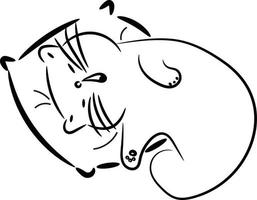 Cat on a square pillow, illustration, vector on a white background.