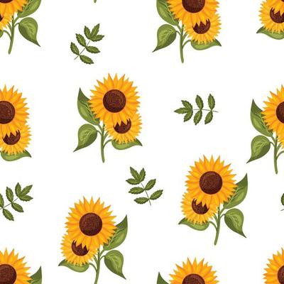 Seamless pattern with sunflowers and green leaves white background.