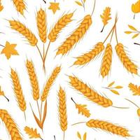 Seamless autumn pattern of wheat ears and yellow leaves white background. vector