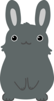 Cute cartoon rabbit cropout png