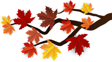 Autumn Leaves Element Cropout png