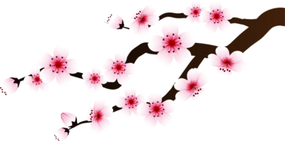 recorte de ramo de flor de cerejeira png
