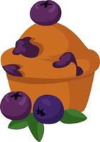 Blueberry muffin, illustration, vector on white background.