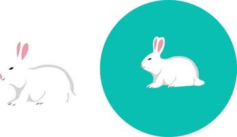 White rabbit ,illustration, vector on white background.