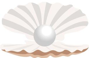 perla de concha, ilustración, vector sobre fondo blanco