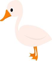 White duck, illustration, vector on white background.