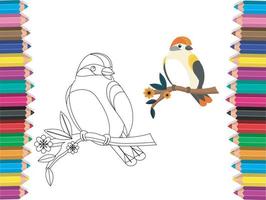 pájaros para colorear vector