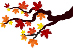 Autumn Leaves Element Cropout png