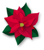 flor de navidad ilustrada roja png