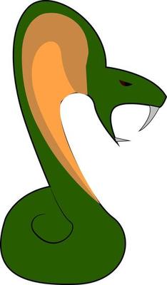 A green snake, vector or color illustration.