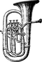 Bass Sax horn, vintage illustration. vector