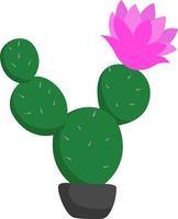 Flowering cactus, illustration, vector on white background