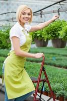 Working in green environment. Beautiful blond hair woman in apron hanging a pot with plant and smiling at camera photo