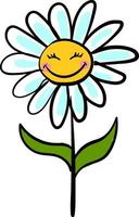 Happy chamomile flower, illustration, vector on white background.